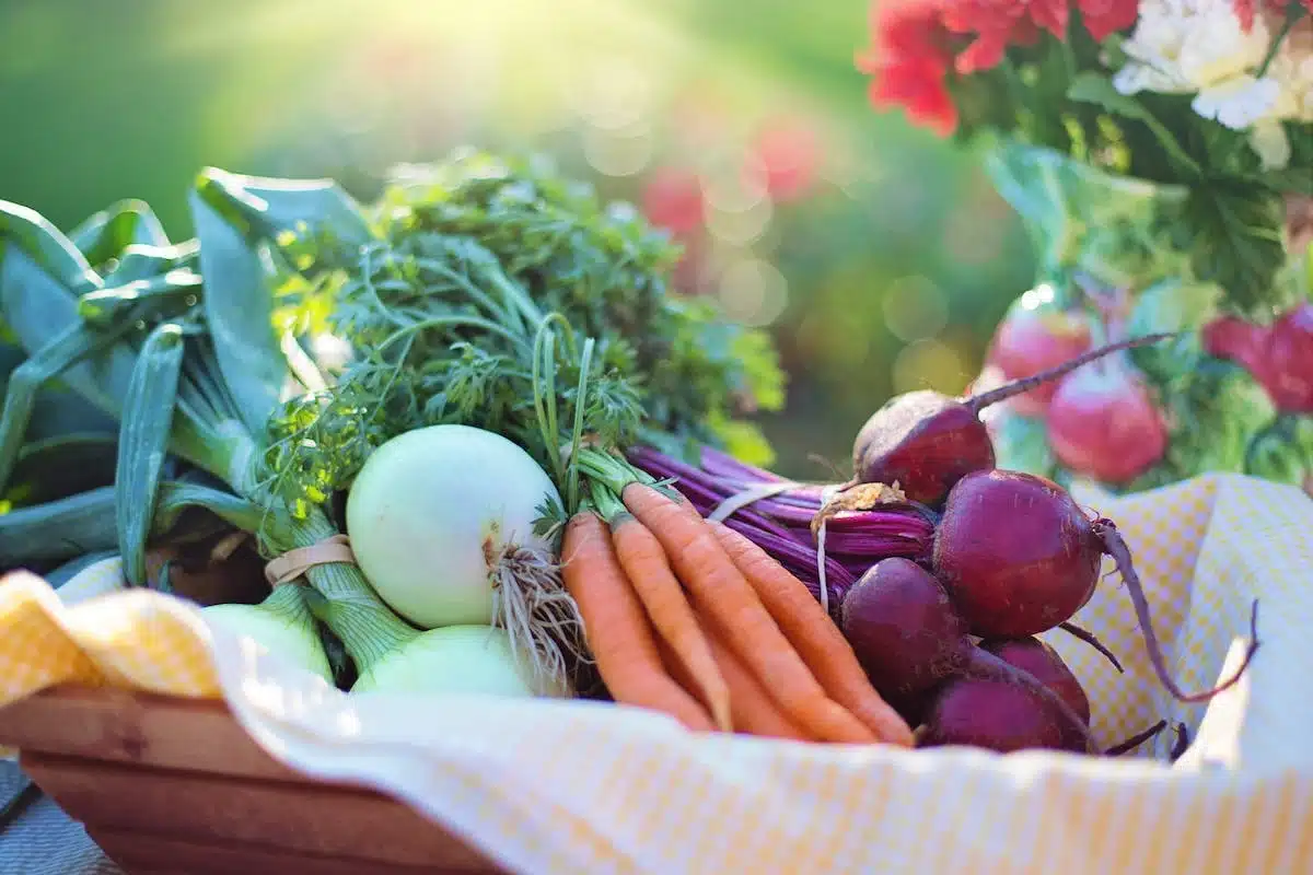végétarien  vegan